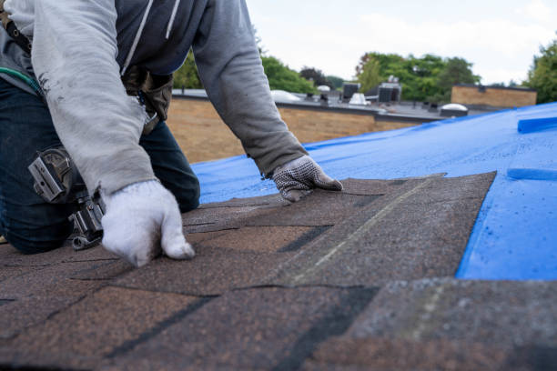Best Flat Roof Repair Services  in Alliae, NC